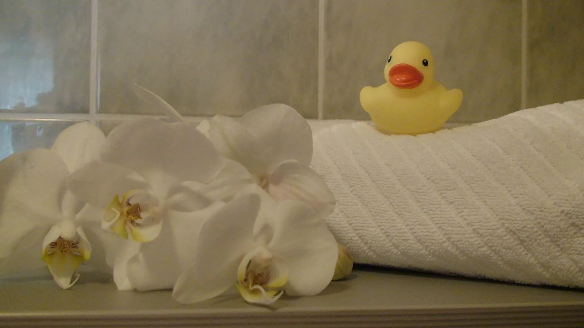 Hotel Cascade Superior Düsseldorf